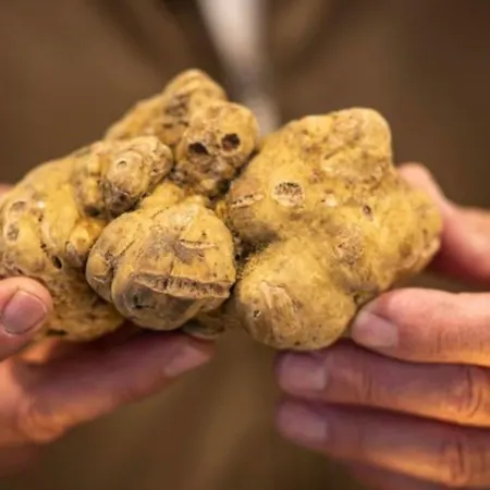 Appartement Historical Duomo *